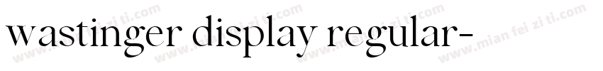 wastinger display regular字体转换